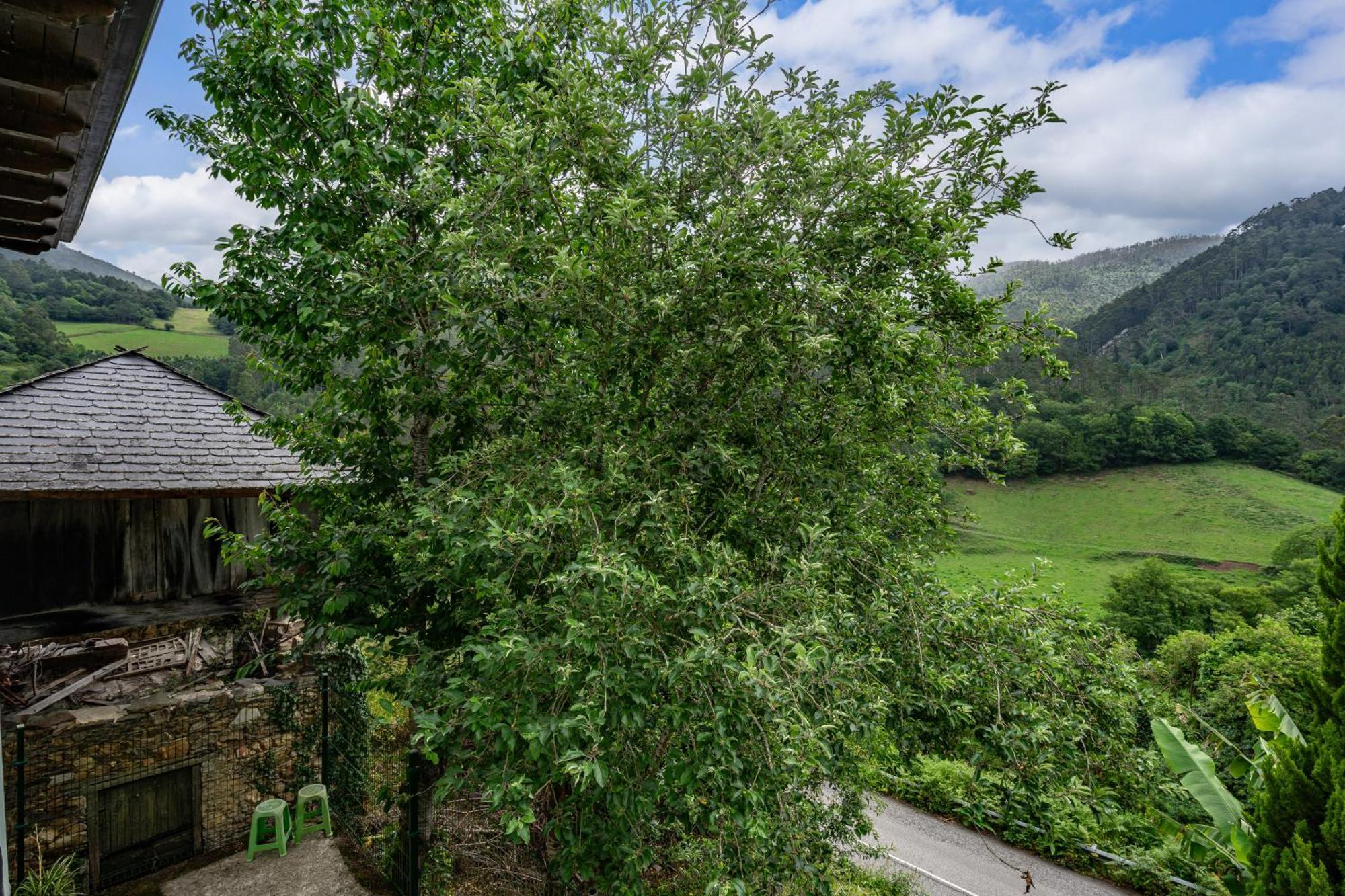 Holiday home Maseda 1