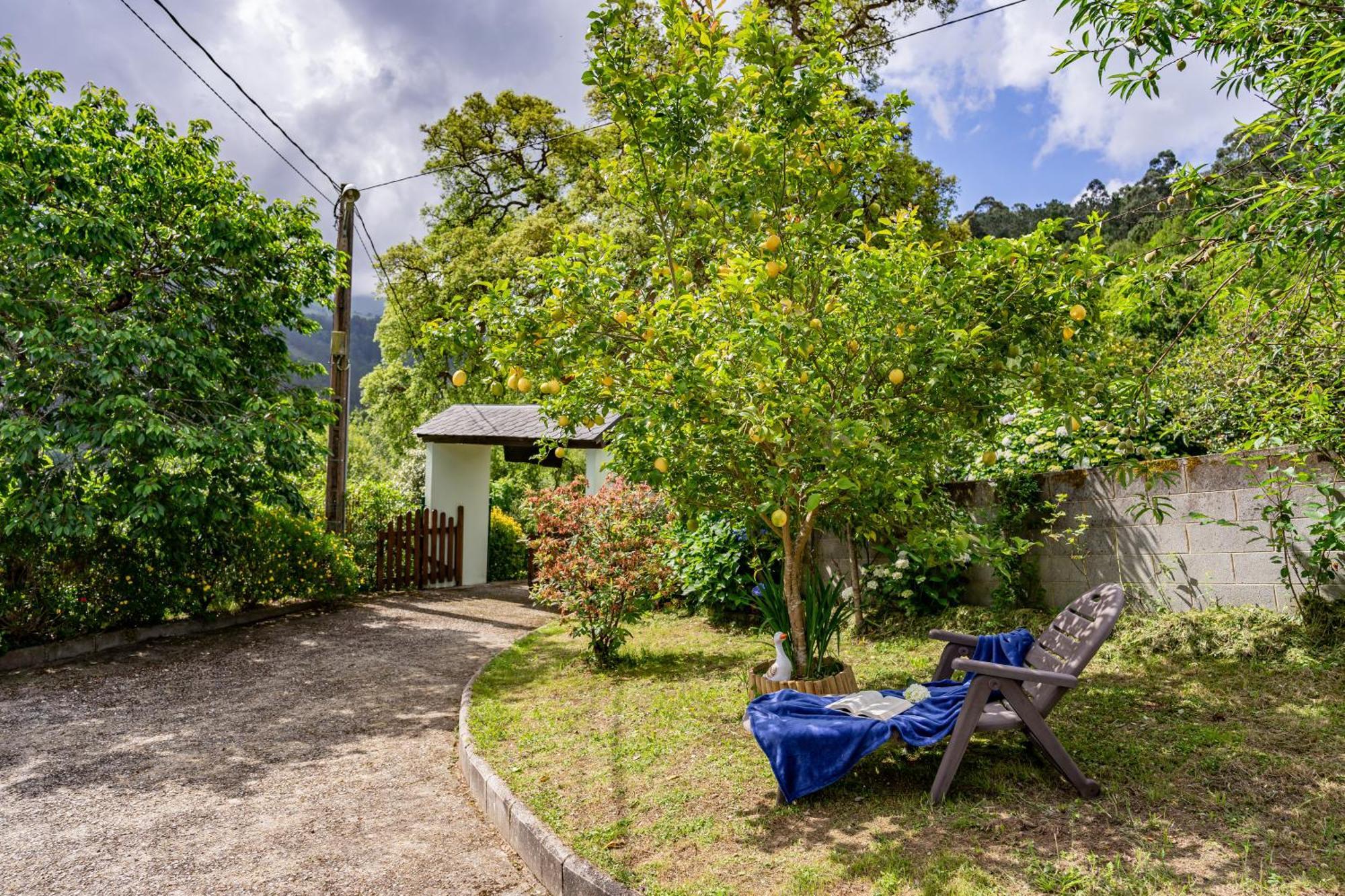Maseda 1 Holiday home *